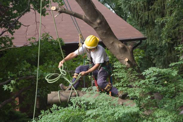 Mulching Services in Irwindale, CA
