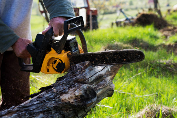 Best Lot and Land Clearing  in Irwindale, CA